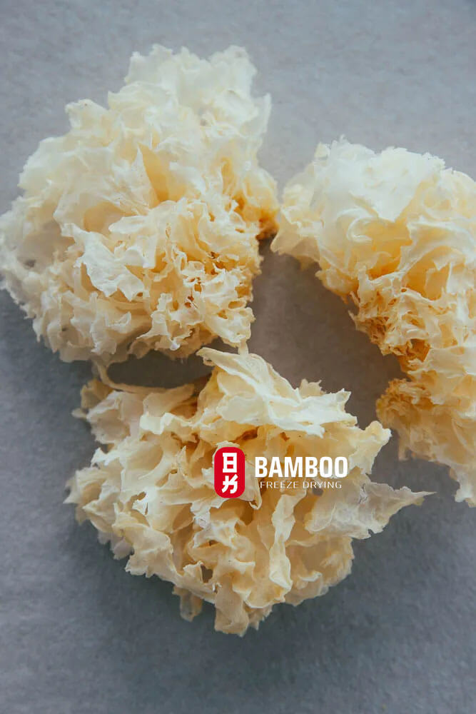 nấm tuyết sấy đông khô