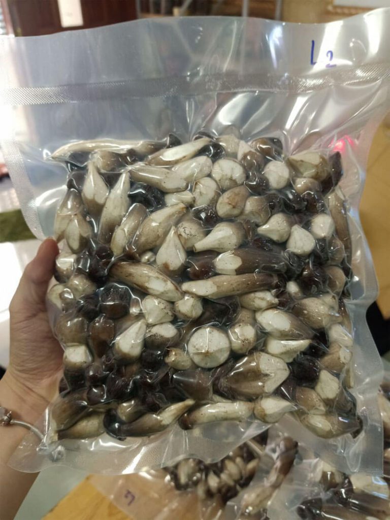 chất lượng nấm bảo quản