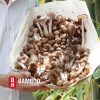 Lợi ích sức khỏe tuyệt vời của nấm mối