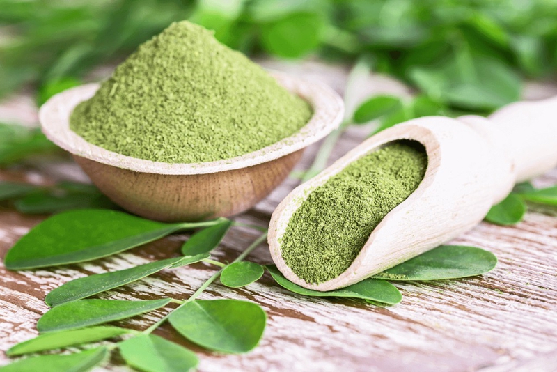 bột chùm ngây sấy theo công nghệ sấy thăng hoa