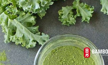 Bột cải xoăn kale và lợi ích cho người ăn chay