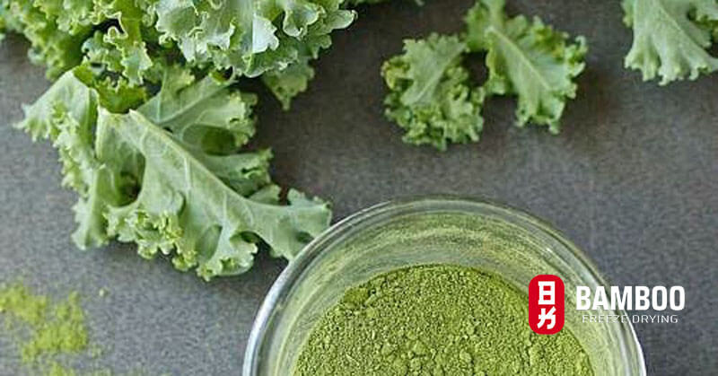 Bột cải xoăn kale và lợi ích cho người ăn chay