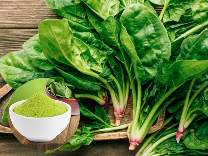 bột cải bó xôi sấy thăng hoa