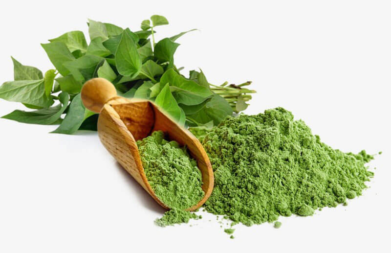 bột rau diếp cá sấy thăng hoa