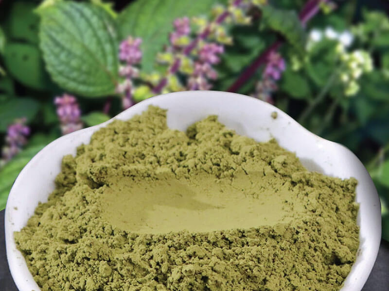 bột tía tô sấy