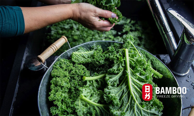 Công thức món ăn chay với bột cải xoăn kale