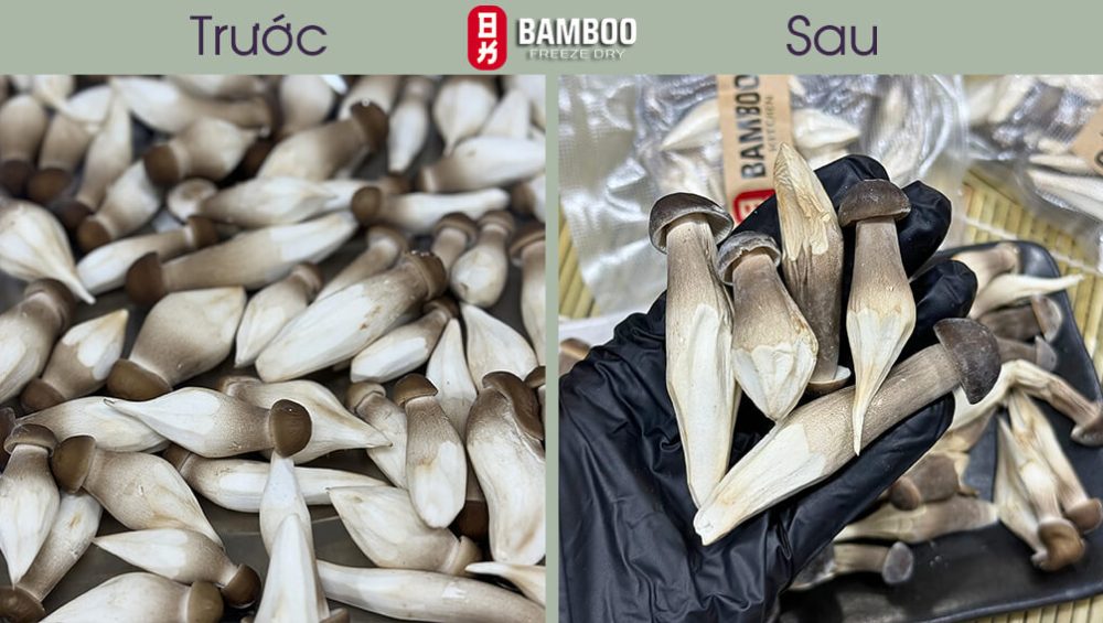 Sử Dụng Nấm Sấy Thăng Hoa Mẹo Hay Mà Bạn Chắc Chắn Chưa Biết!