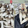 Sử Dụng Nấm Sấy Thăng Hoa Mẹo Hay Mà Bạn Chắc Chắn Chưa Biết!