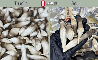 Sử Dụng Nấm Sấy Thăng Hoa Mẹo Hay Mà Bạn Chắc Chắn Chưa Biết!