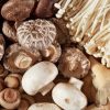 Cách làm nấm sấy thăng hoa thành gia vị hoàn hảo cho món ăn chay