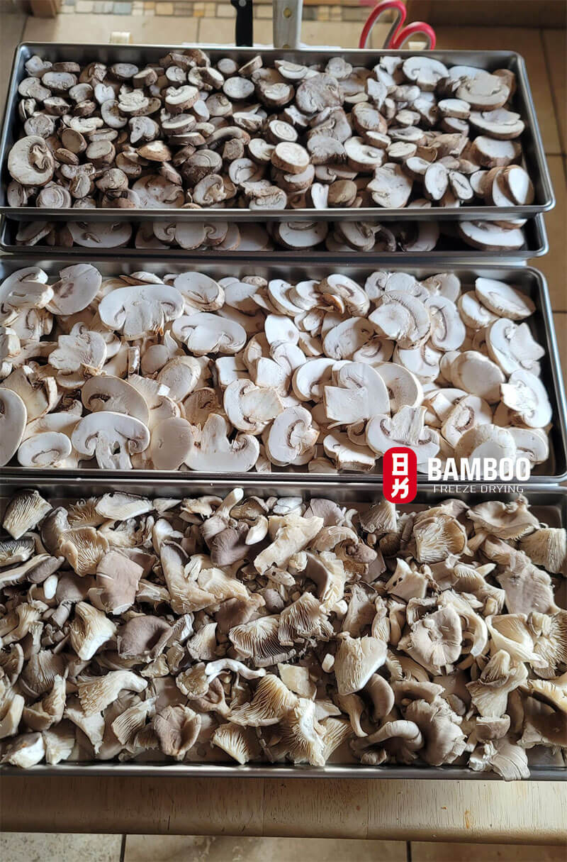 So Sánh sấy thăng hoa và say thường