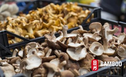 Nấm Sấy Thăng Hoa và Nấm Sấy Thông Thường - Đâu Là Lựa Chọn Tối Ưu