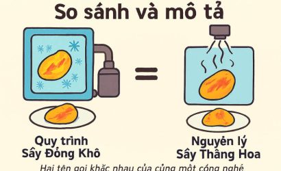 Phân biệt “Sấy Đông Khô” và “Sấy Thăng Hoa”