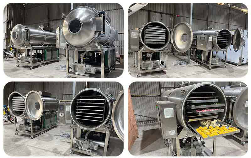 Phân biệt sấy thăng hoa với sấy lạnh và các phương pháp khác