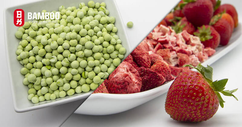 Tăng Cường Hệ Miễn Dịch từ trái sấy thăng hoa