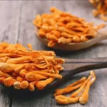 Ứng dụng sấy thăng hoa yến sào, đông trùng hạ thảo