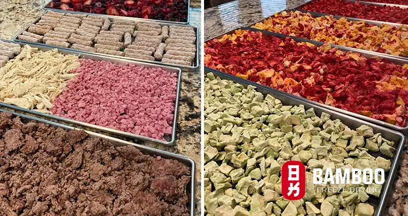 Sức Mạnh Dinh Dưỡng Từ Công Nghệ Sấy Thăng Hoa