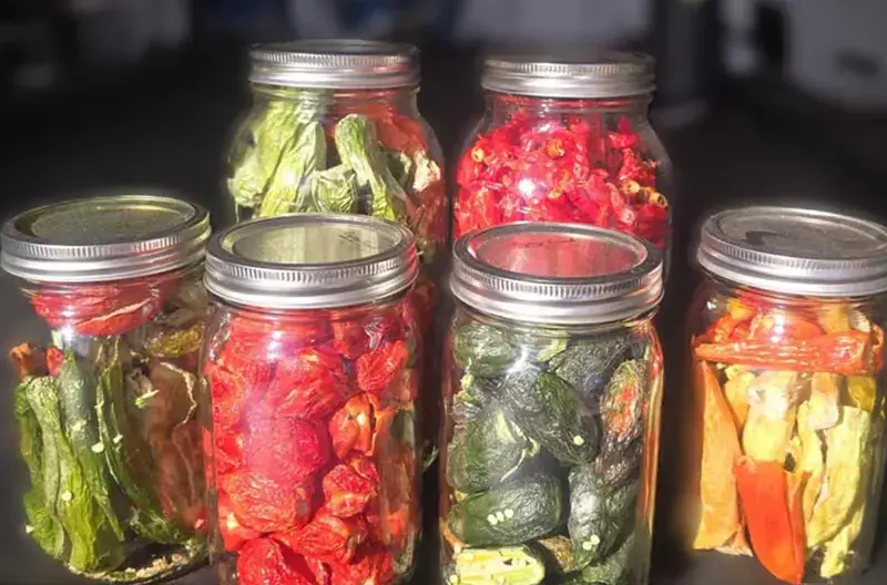 Nguồn Cung Cấp Chất Xơ Dồi Dào, Hỗ Trợ Tiêu Hóa