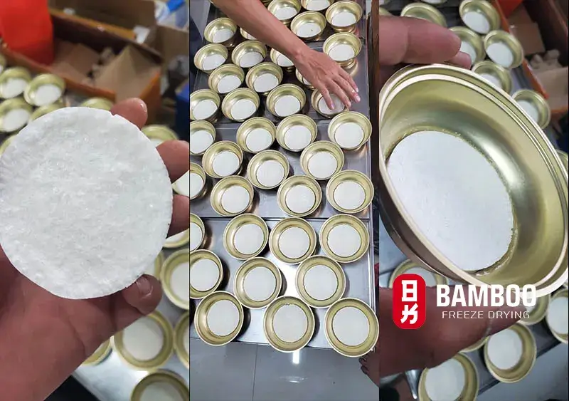 yến sào sấy thăng hoa ưu điểm ứng dụng