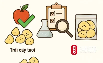 3 Yếu Tố Quyết Định Chất Lượng Sản Phẩm Sấy Thăng Hoa