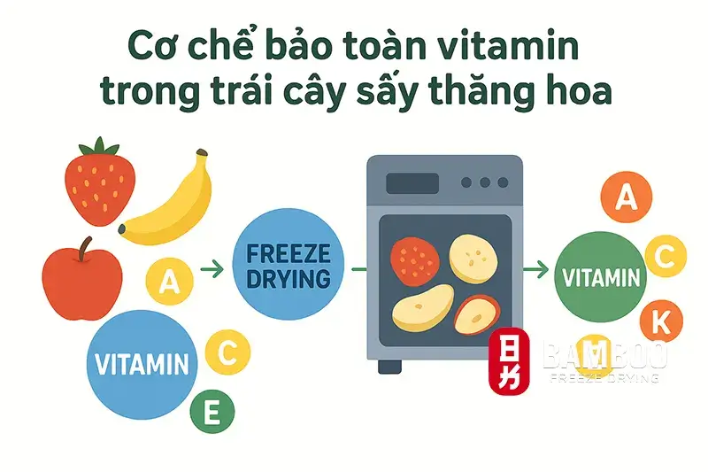 Cơ Chế Giữ Lại Vitamin Trong Trái Cây Sấy Thăng Hoa