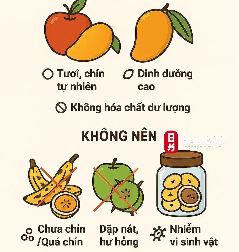 Chất Lượng Nguyên Liệu Đầu Vào sấy thăng hoa