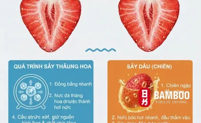 Tại sao trái cây sấy thăng hoa lại giòn mà không cần chiên dầu?