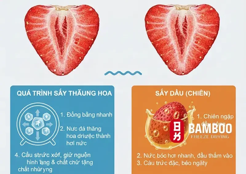 Tại sao trái cây sấy thăng hoa lại giòn mà không cần chiên dầu?