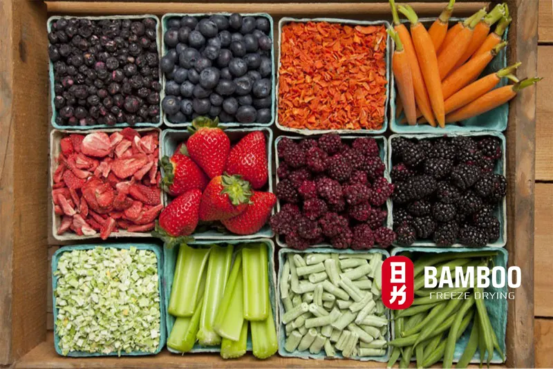 chất xơ: Chìa khóa cho sức khỏe tiêu hóa