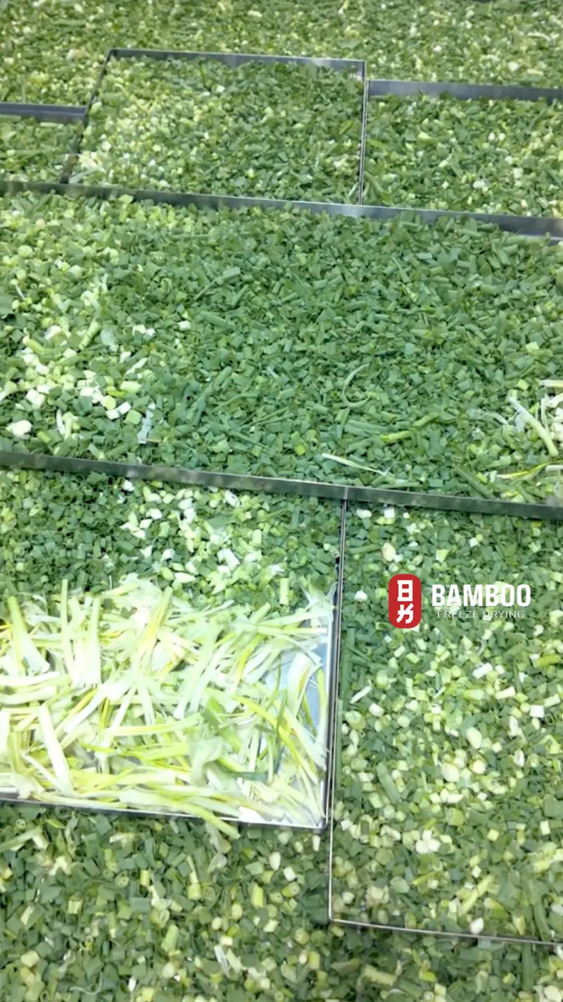 Quy trình sản xuất chuyên nghiệp tại xưởng sấy