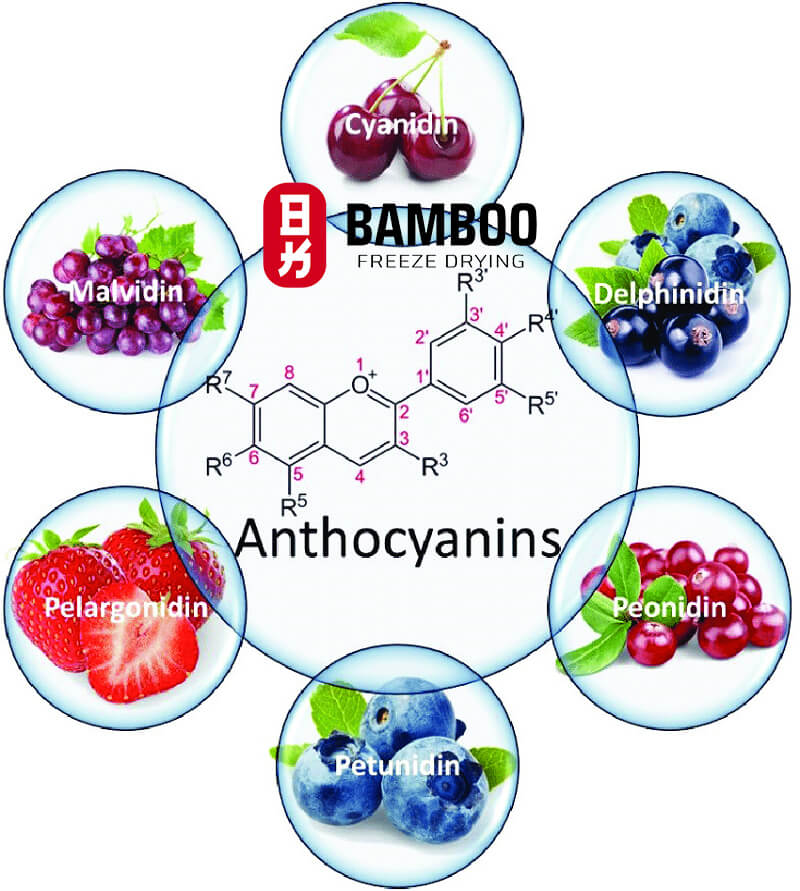 dữ liệu thực tế với trái cây tươi