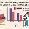 Phân tích hàm lượng Anthocyanin và Vitamin C sau khi sấy thăng hoa