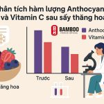 Phân tích hàm lượng Anthocyanin và Vitamin C sau khi sấy thăng hoa