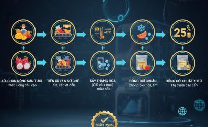 Quy Trình Farm-To-Dryer: Bí Quyết Nâng 25% Giá Trị Trái Cây Sấy