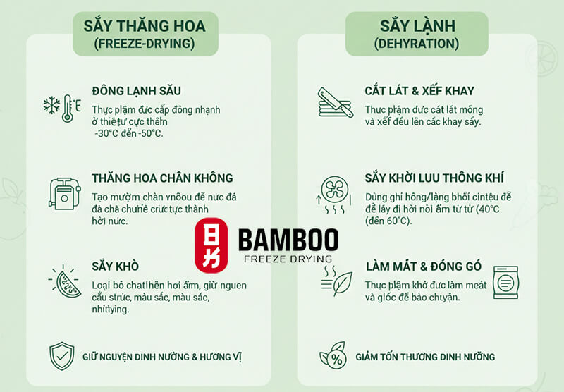 Quy Trình Công Nghệ: Sấy Thăng Hoa Vs. Sấy Lạnh