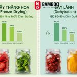 Trong thị trường thực phẩm sức khỏe tại Việt Nam, trái cây sấy không còn xa lạ. Tuy nhiên, sự khác biệt giữa Sấy thăng hoa (Freeze Drying) và Sấy lạnh (Heat Pump Drying) về mật độ dinh dưỡng là rất lớn. Việc hiểu rõ phương pháp nào giữ lại nhiều vitamin và khoáng chất hơn sẽ giúp bạn tối ưu hóa chế độ ăn Clean Eating và kiểm soát chỉ số đường huyết hiệu quả. 1. Mật Độ Dinh Dưỡng Là Gì Và Ý Nghĩa Trong Trái Cây Sấy? 1.1. Định Nghĩa Nutrient Density Mật độ dinh dưỡng (Nutrient Density) là tỷ lệ các vi chất thiết yếu (vitamin, khoáng chất, chất xơ) so với tổng trọng lượng hoặc năng lượng (calo) của thực phẩm. Trong trái cây sấy, khi nước bị loại bỏ, mật độ này trở nên cực kỳ cô đặc. 1.2. Ảnh hưởng của nguyên lý sấy đến dưỡng chất Sấy thăng hoa: Dựa trên sự thăng hoa của nước trong môi trường chân không, không làm biến đổi cấu trúc hóa học. Sấy lạnh: Dựa trên sự chênh lệch độ ẩm ở nhiệt độ thấp, nhưng vẫn sử dụng nhiệt nhẹ kéo dài, dễ làm oxy hóa một số vitamin nhạy cảm. 1.3. Vai trò trong chế độ ăn tại Việt Nam Với người Việt bận rộn, thực phẩm có mật độ dinh dưỡng cao giúp bù đắp lượng vi chất thiếu hụt từ các bữa ăn nhanh, hỗ trợ hệ miễn dịch và duy trì năng lượng bền bỉ. 2. Quy Trình Công Nghệ: Sấy Thăng Hoa Vs. Sấy Lạnh 2.1. Sấy Thăng Hoa: Đỉnh cao bảo tồn cấu trúc Quy trình gồm 3 giai đoạn: Đông lạnh nhanh (